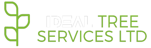 Home - Ideal Tree Services