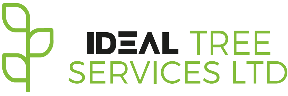 Ideal Tree Services