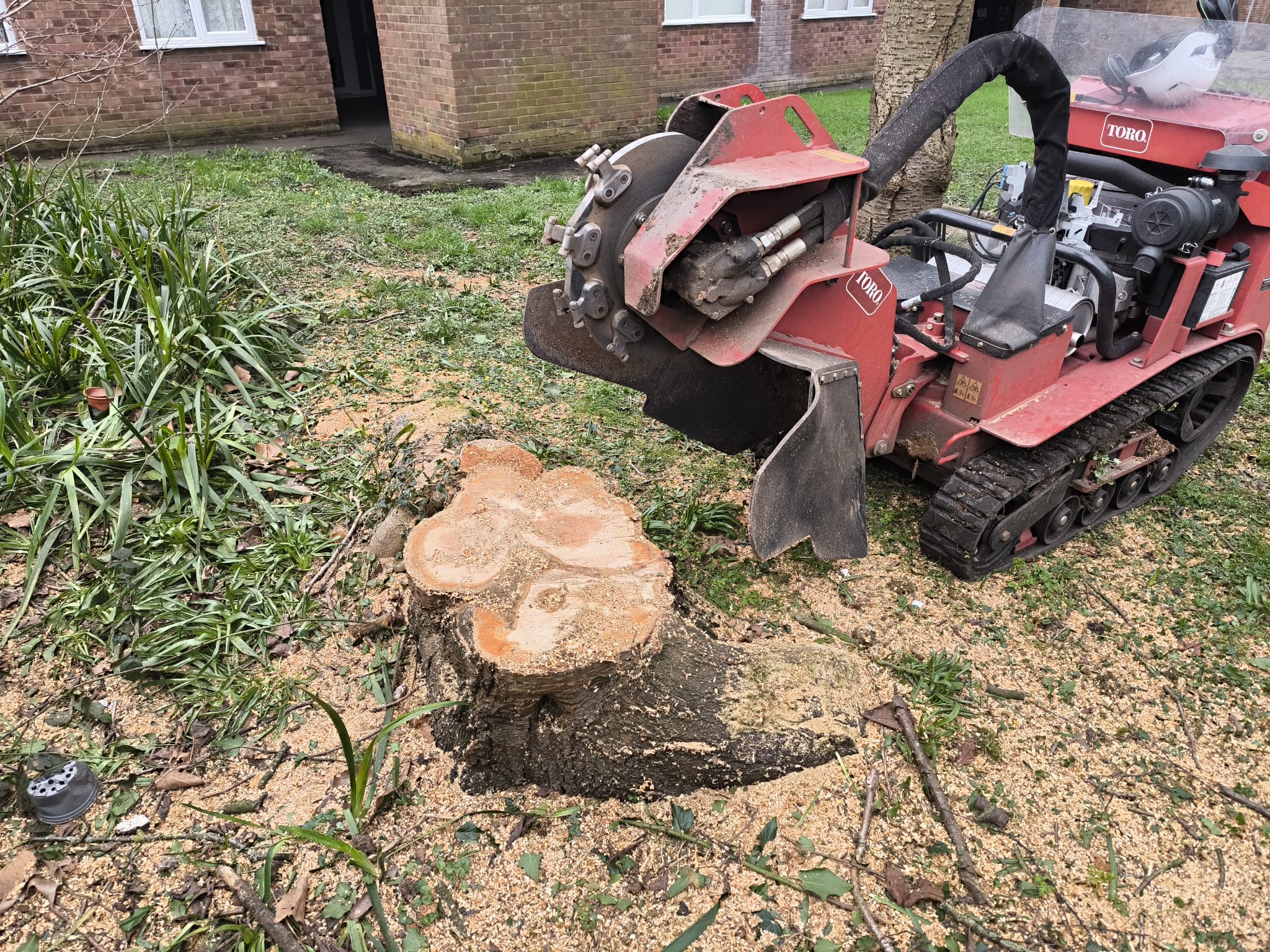 Stump removal - Ideal Tree Services